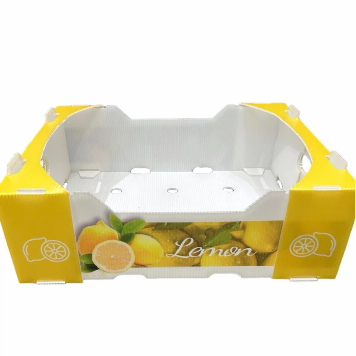 Recyclable Plastic Box Recyclable Plastic Box