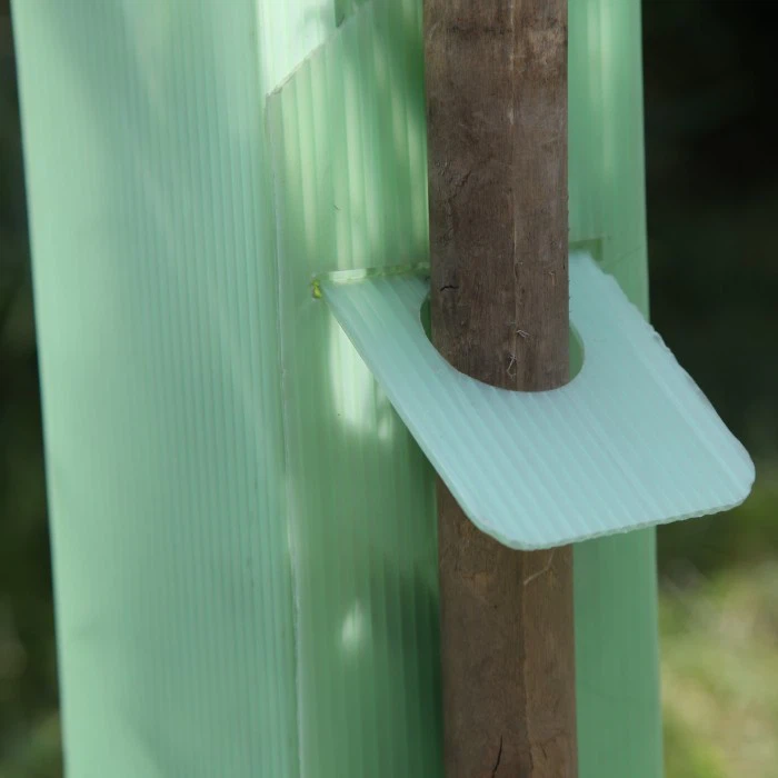 PP Plastic Vine Protection